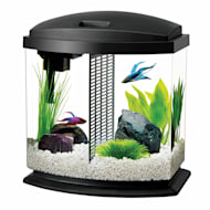 betta fish toys petco