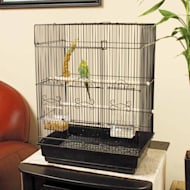 Square shape Bird Cage in Brass With Good Polishing-001A460C –