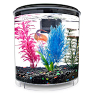 Petco 2025 fish bowl