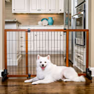 Carlson Pet Products