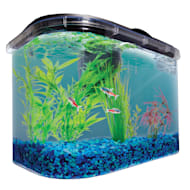 Petco on sale 125 gallon