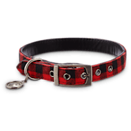 Dog fashion collars at petco