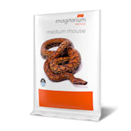 Mouse (Mus musculus)