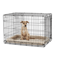 Midwest iCrate Single Door Folding Dog Crate, 36 L X 23 W X 25 H