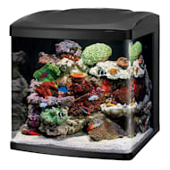 30 gallon store fish tank kit