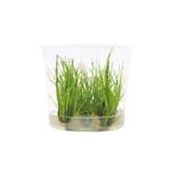 Tropic Marin All-For-Reef Powder, 1600 Gram | Petco