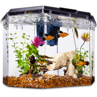 Petco clearance rimless tank