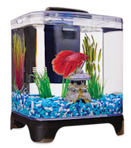 Petco hexagon sale fish tank