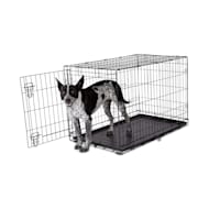 Animaze 2025 dog pen