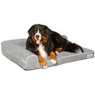 Petfusion serenity lounge outlet dog bed