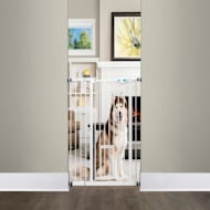 Dog Gates with Cat Doors Petco