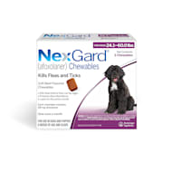 Nexgard 2024 flea control