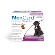 Nexgard flea and clearance tick