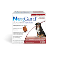 Cost of shop nexgard for dogs