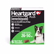 Heartgard