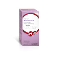 Metacam Anti-Inflammatory Oral Suspension for Dogs