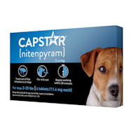 Capstar for large store dogs