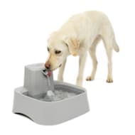 Best automatic 2024 dog waterer