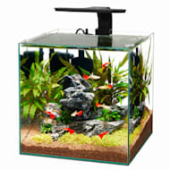 40 gallon hotsell tank petco