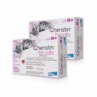 Cheristin