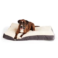 Chuckit travel best sale dog bed