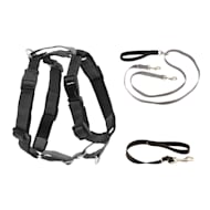 Two point outlet dog harness