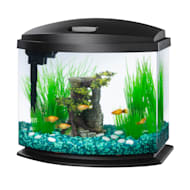 Petco 10 best sale gallon aquarium