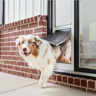 PetSafe Dog Doors Flaps Petco