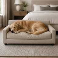 Club Nine Pets Metro Orthopedic Dog Bed