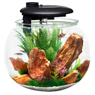 Petco 15 gallon sales tank