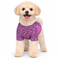 Pet Life Purple Active 'Warf Speed' Heathered Ultra-Stretch Sporty Performance Dog T-Shirt