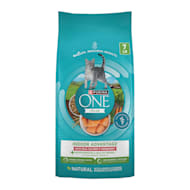 best price for royal canin canned cat food Royal Canin Babycat Instinctive Loaf in Sauce Wet Cat Food 3 oz. Cans   Benson's Pet Center