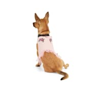 Imagine This Bone Car Magnet 2-Inch by 7-Inch I Love My Cavapoo 