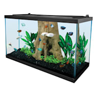 Blue Planet Glass Aquarium 41x28x30cm 30L – Pet Supplies Empire