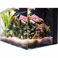 29 gallon best sale aquarium petco