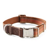 Leather Dog Collars Petco