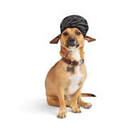 Reddy Olive and Tan Baseball Dog Hat, Large/X-Large