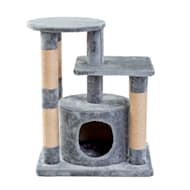 Cat Furniture: Cat Trees, Towers & Scratching Posts | Petco |Cat 