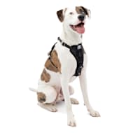 Kurgo Dog Harnesses Petco