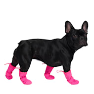 Walkee Paws Indoor Grippy Sock Dog Leggings, New Products