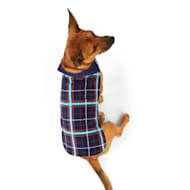 Petco dog hot sale christmas outfits