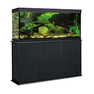 Best 60 Gallon Aquarium With Stand for sale in Elk Grove, California for  2024