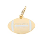 Two Tails Pet Company Football Pet ID Tag