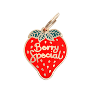 Two Tails Pet Company Berry Special Pet ID Tag