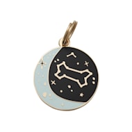 Two Tails Pet Company Zodiac Pet ID Tag