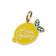 Two Tails Pet Company Main Squeeze Pet ID Tag