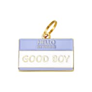 Two Tails Pet Company Good Boy Pet ID Tag