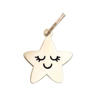 Two Tails Pet Company Smiling Star Pet ID Tag