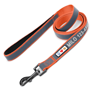 Pawtitas Personalized Padded Dog Leash