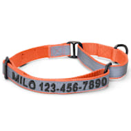 Pawtitas Personalized Reflective Martingale Dog Collar